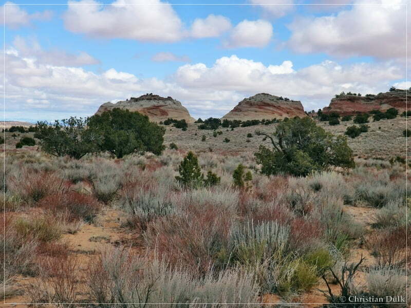 Bush Head Valley - Vermilion Cliffs NM