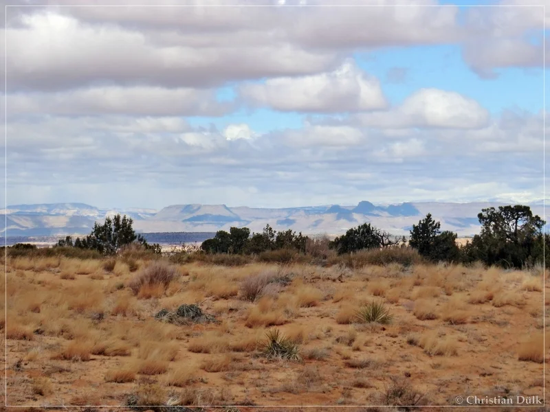Bush Head Valley - Vermilion Cliffs NM