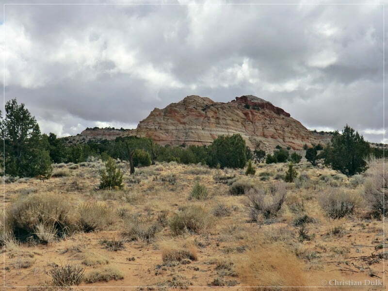 Bush Head Valley - Vermilion Cliffs NM