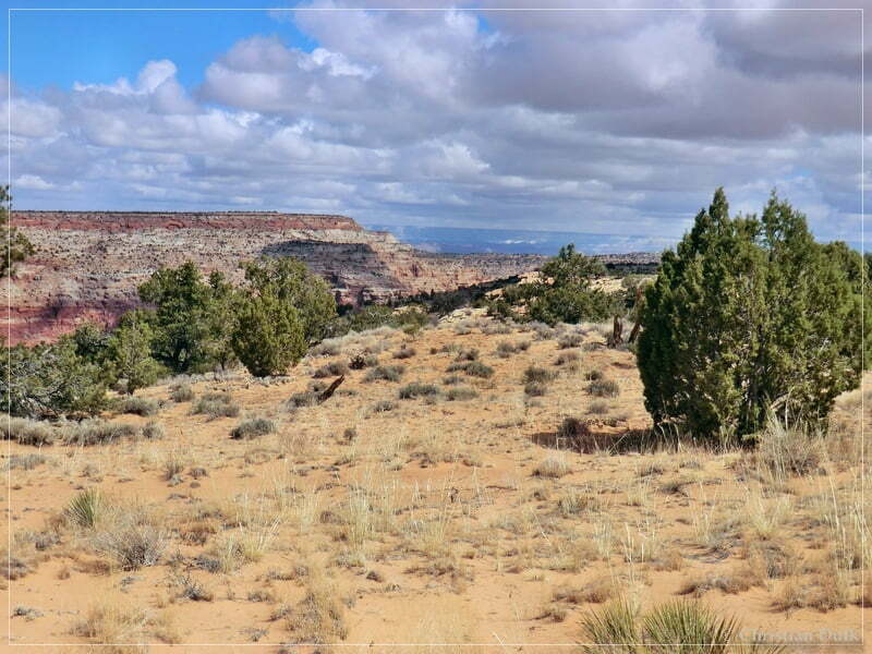 Bush Head Valley - Vermilion Cliffs NM