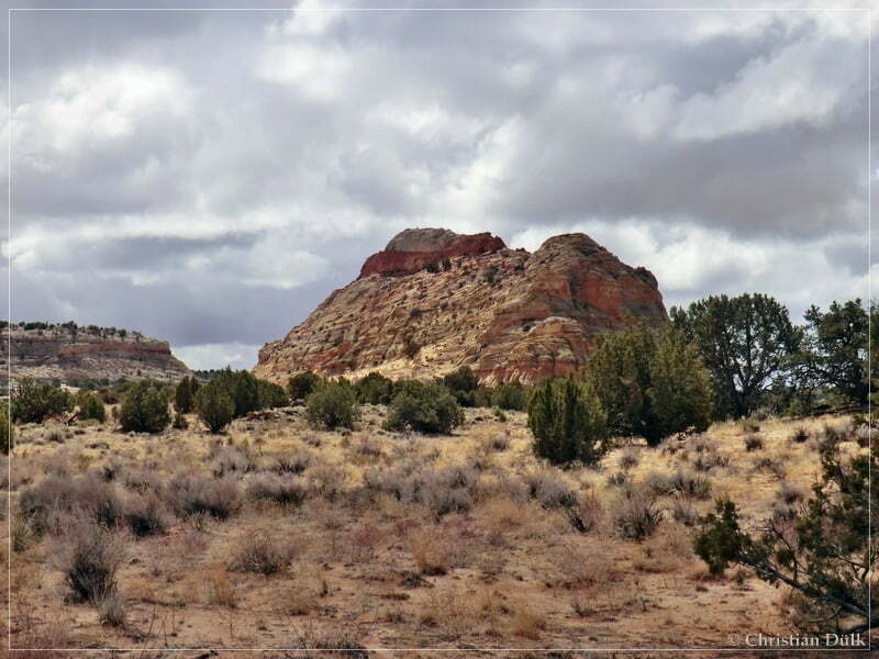 Bush Head Valley - Vermilion Cliffs NM