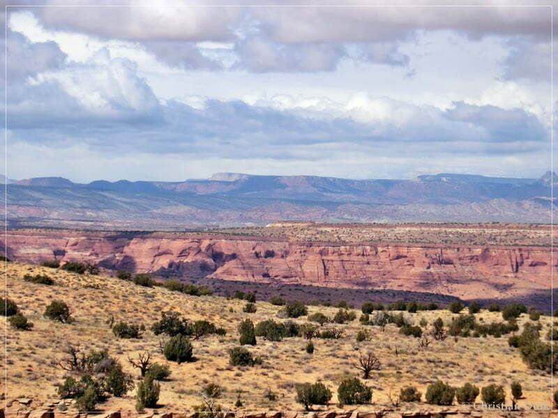 Bush Head Valley - Vermilion Cliffs NM