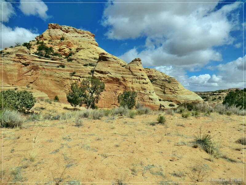 Bush Head Valley - Vermilion Cliffs NM