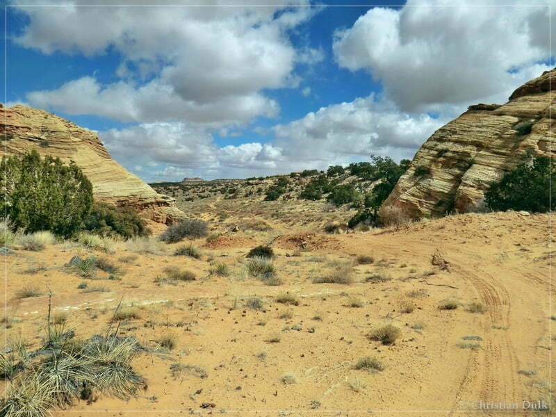 Bush Head Valley - Vermilion Cliffs NM