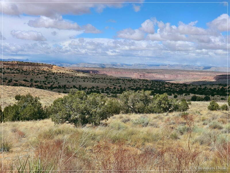 Bush Head Valley - Vermilion Cliffs NM