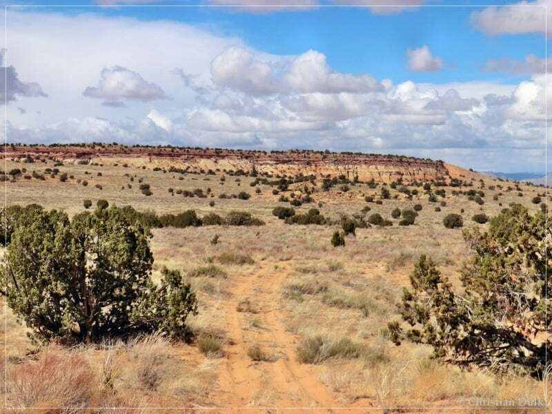 Bush Head Valley - Vermilion Cliffs NM