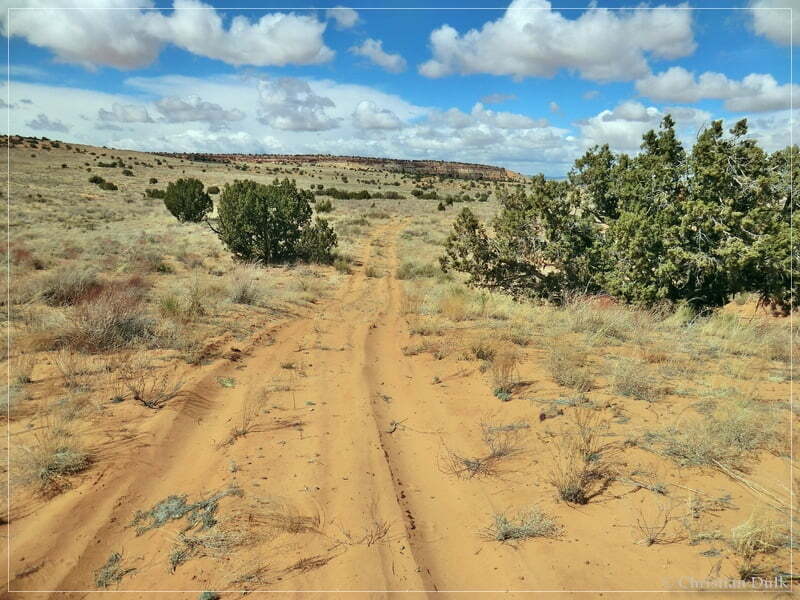 Bush Head Valley - Vermilion Cliffs NM
