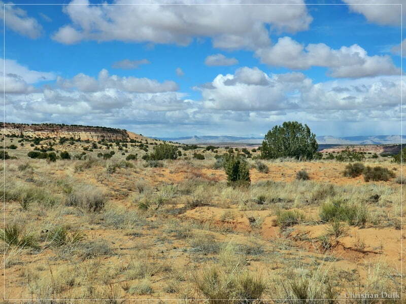 Bush Head Valley - Vermilion Cliffs NM