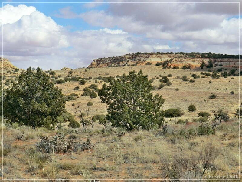 Bush Head Valley - Vermilion Cliffs NM