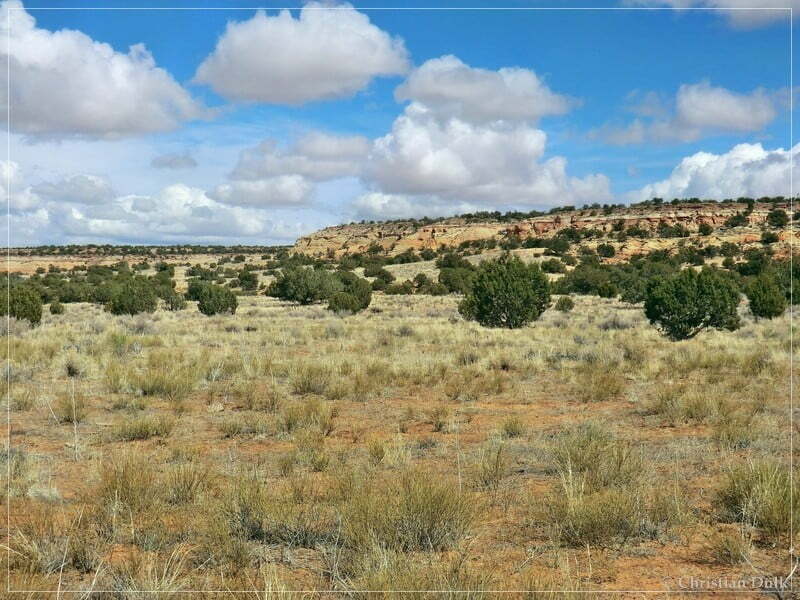 Bush Head Valley - Vermilion Cliffs NM