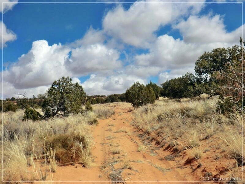 Bush Head Valley - Vermilion Cliffs NM