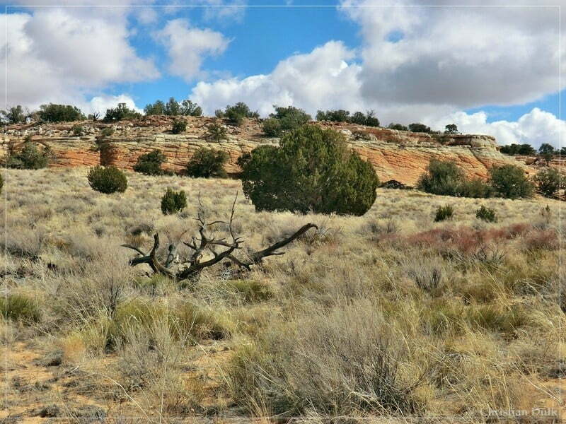 Bush Head Valley - Vermilion Cliffs NM