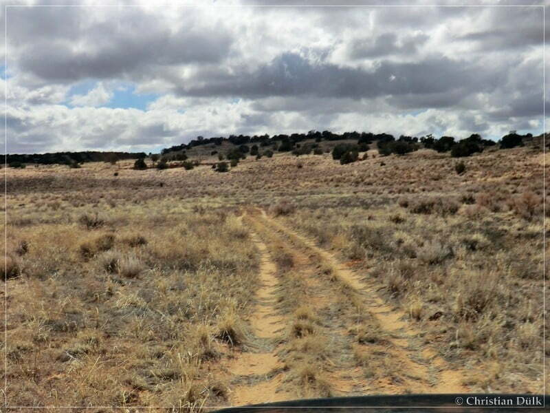 Bush Head Valley - Vermilion Cliffs NM