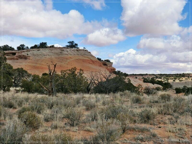 Bush Head Valley - Vermilion Cliffs NM