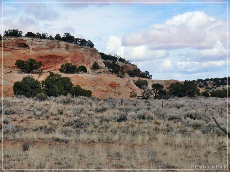 Bush Head Valley - Vermilion Cliffs NM