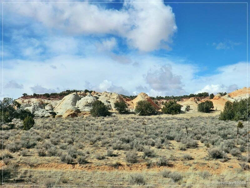 Bush Head Valley - Vermilion Cliffs NM