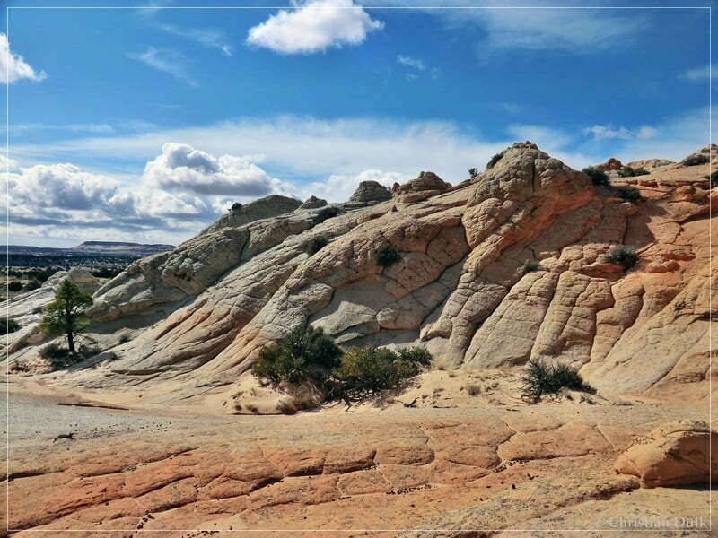 Bush Head Valley - Vermilion Cliffs NM