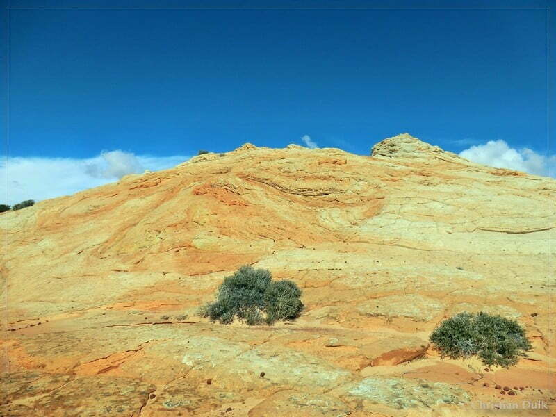 Bush Head Valley - Vermilion Cliffs NM