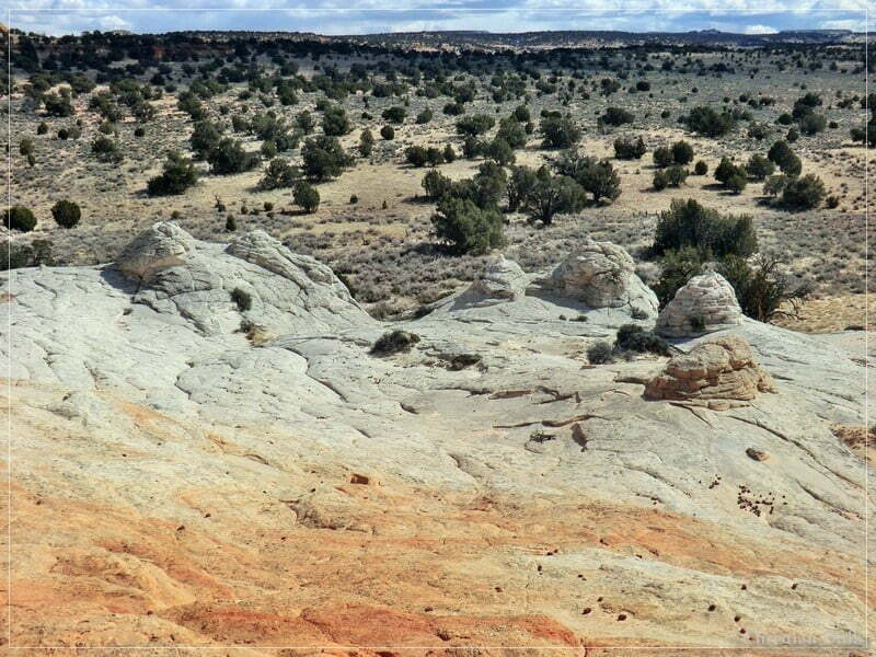 Bush Head Valley - Vermilion Cliffs NM