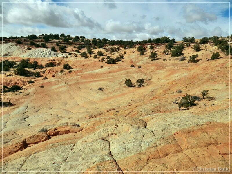 Bush Head Valley - Vermilion Cliffs NM