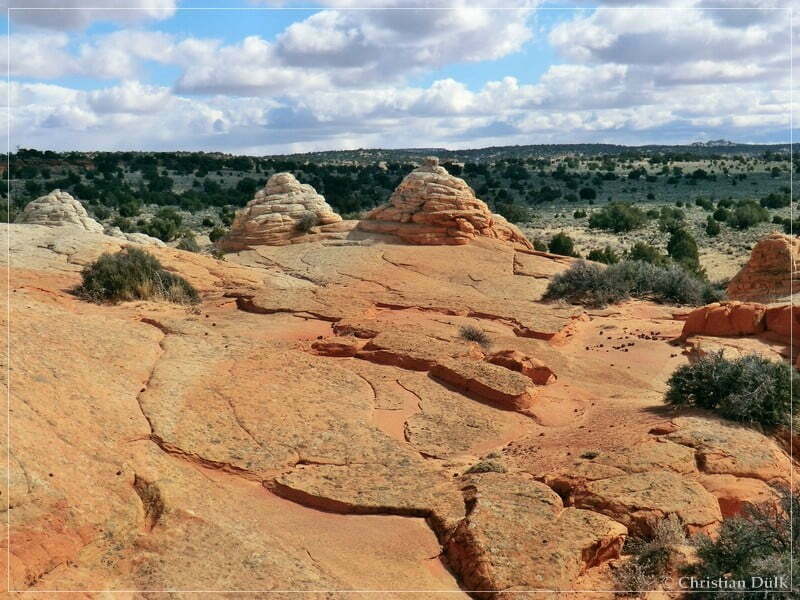 Bush Head Valley - Vermilion Cliffs NM