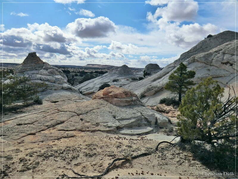Bush Head Valley - Vermilion Cliffs NM
