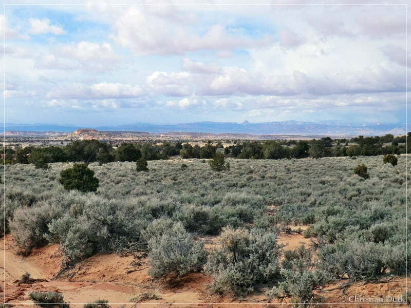 Bush Head Valley - Vermilion Cliffs NM