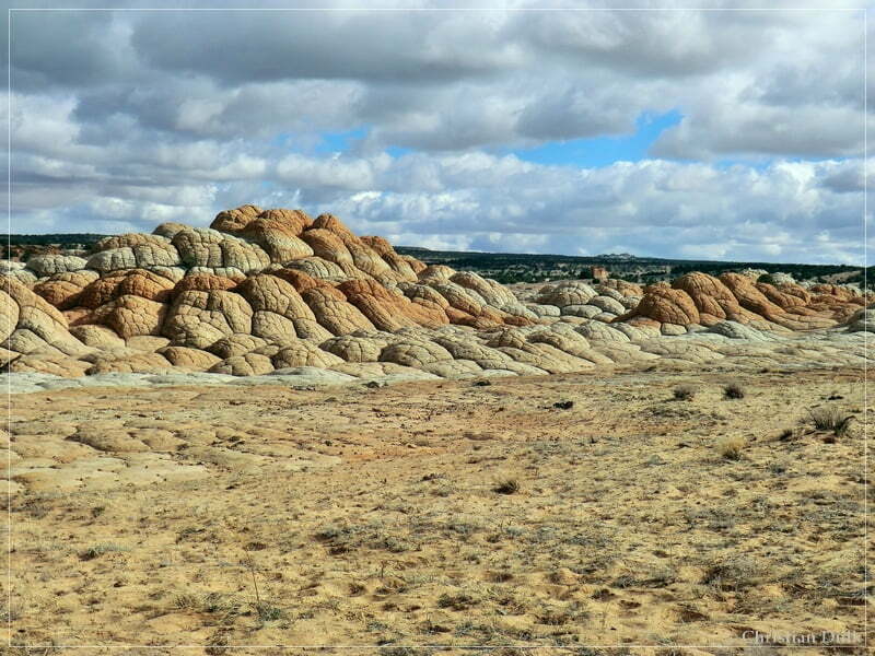 Bush Head Valley - Vermilion Cliffs NM