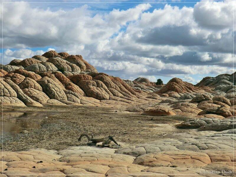 Bush Head Valley - Vermilion Cliffs NM
