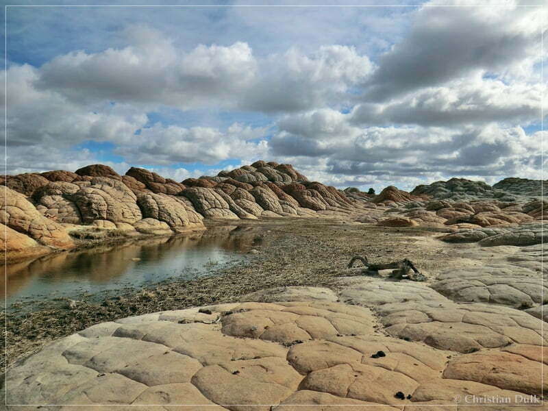 Bush Head Valley - Vermilion Cliffs NM