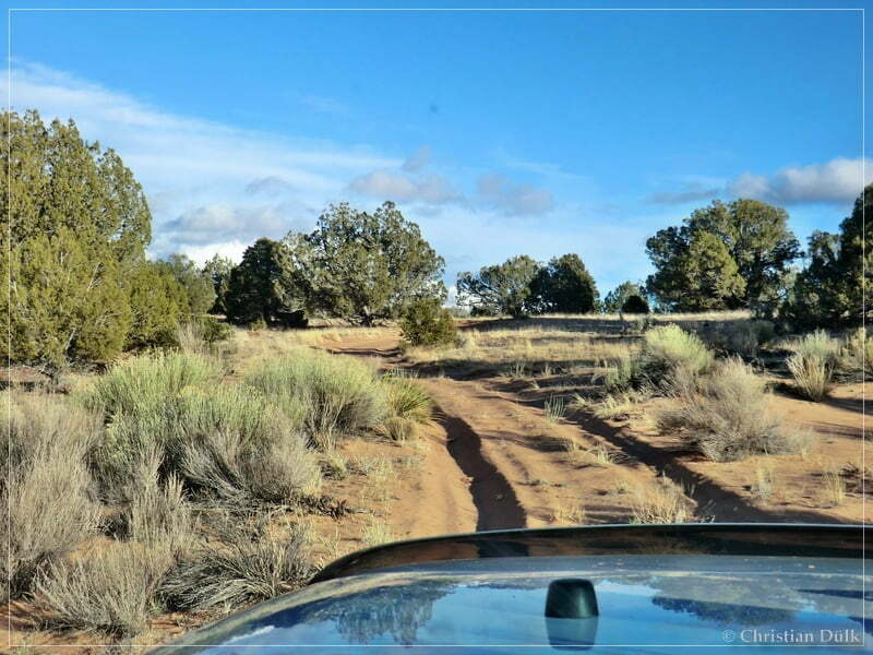 Bush Head Valley - Vermilion Cliffs NM