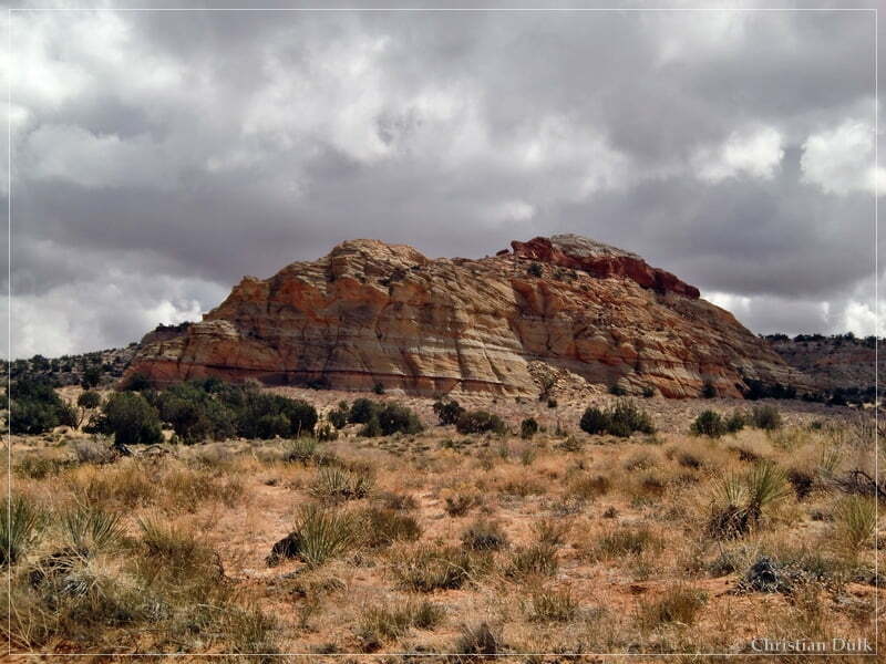 Bush Head Valley - Vermilion Cliffs NM