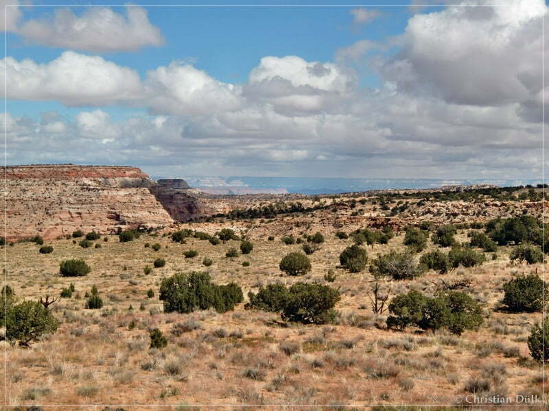 Bush Head Valley - Vermilion Cliffs NM