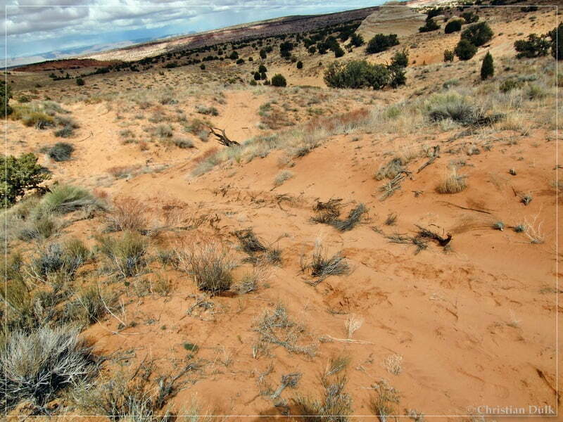 Bush Head Valley - Vermilion Cliffs NM