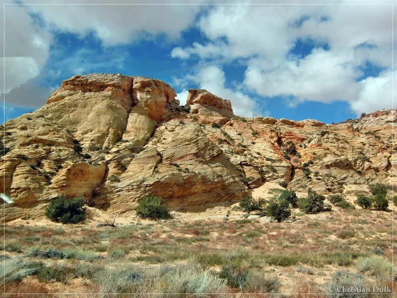 Bush Head Valley - Vermilion Cliffs NM