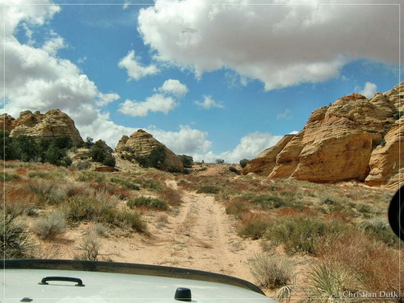 Bush Head Valley - Vermilion Cliffs NM
