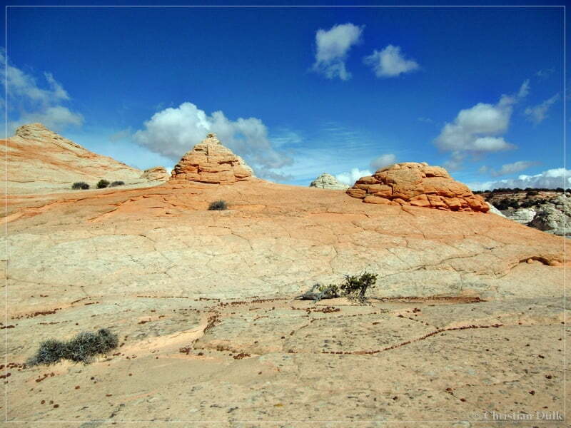 Bush Head Valley - Vermilion Cliffs NM
