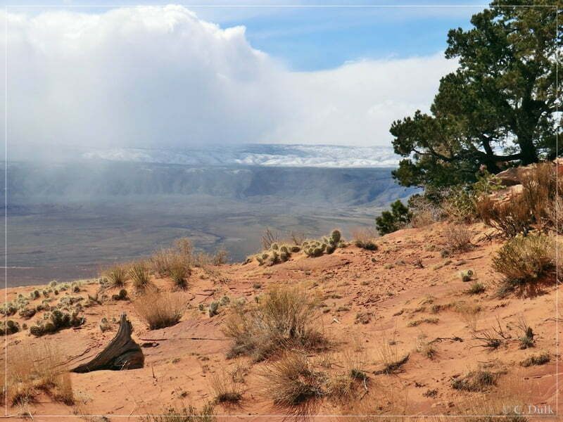 South West Route, Vermilion Cliffs NM, AZ