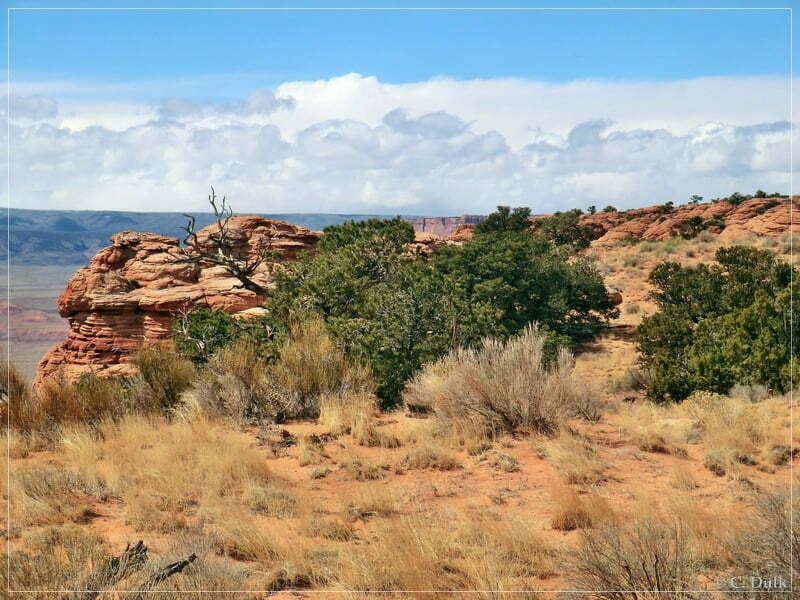 South West Route, Vermilion Cliffs NM, AZ