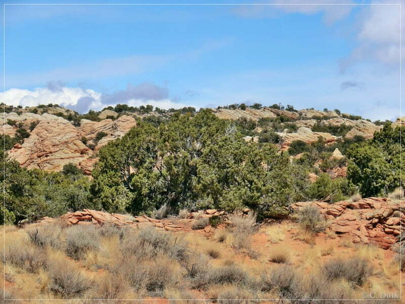 South West Route, Vermilion Cliffs NM, AZ