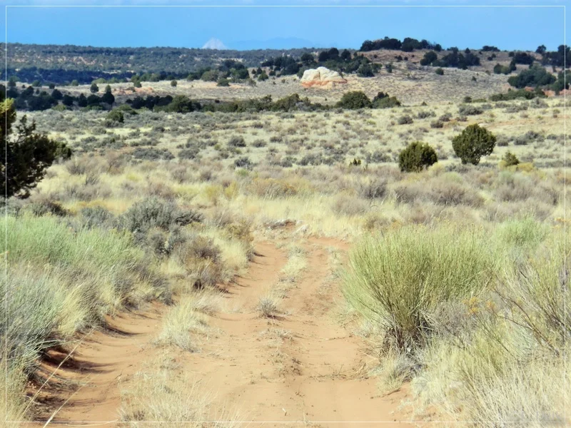 South West Route, Vermilion Cliffs NM, AZ