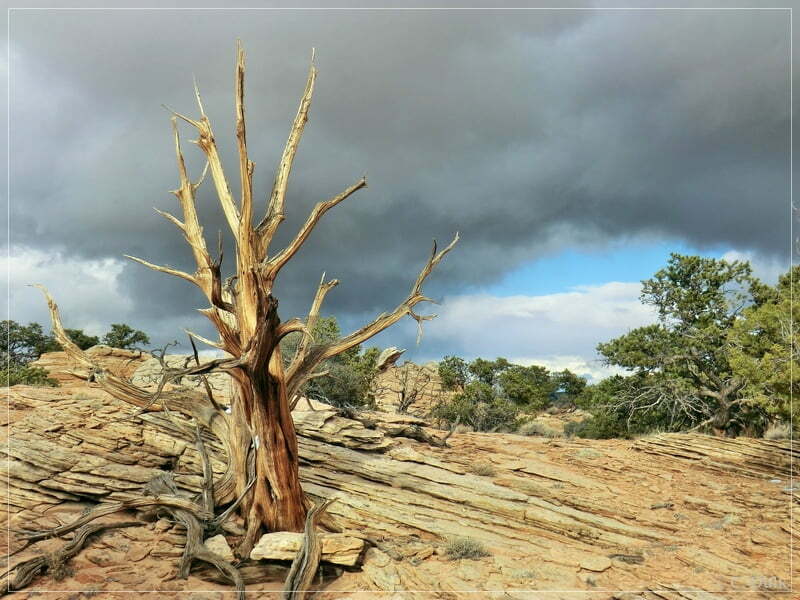 South West Route, Vermilion Cliffs NM, AZ