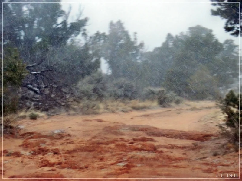 South West Route, Vermilion Cliffs NM, AZ