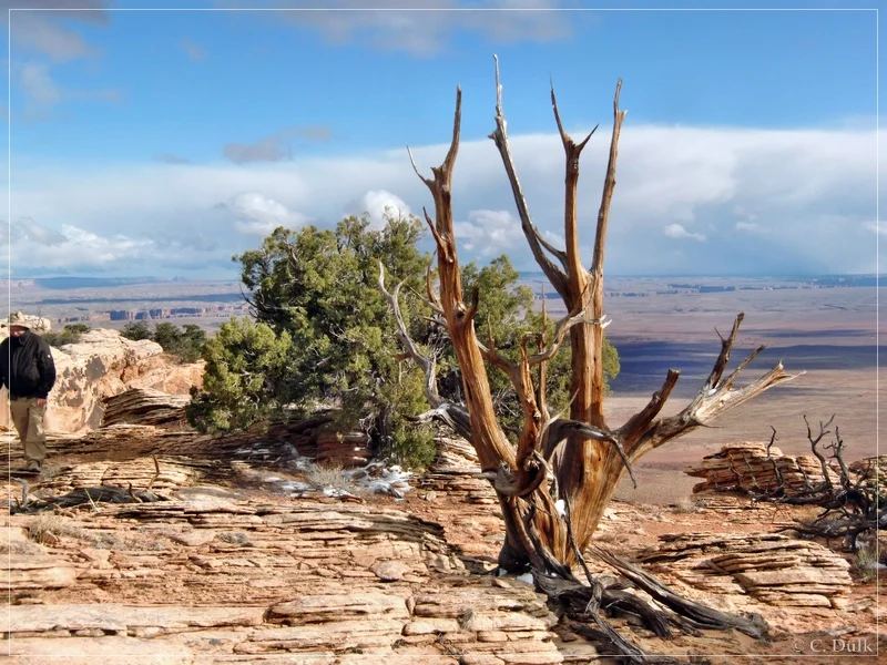 South West Route, Vermilion Cliffs NM, AZ