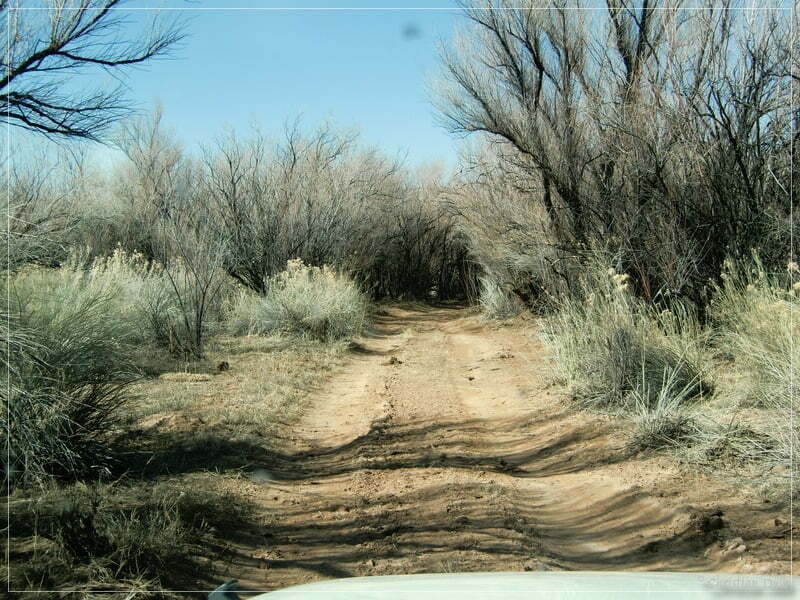 San Rafael Swell - Eardley Canyon/Straight Wash