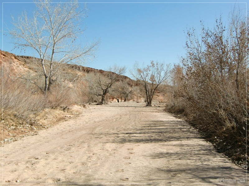 San Rafael Swell - Eardley Canyon/Straight Wash