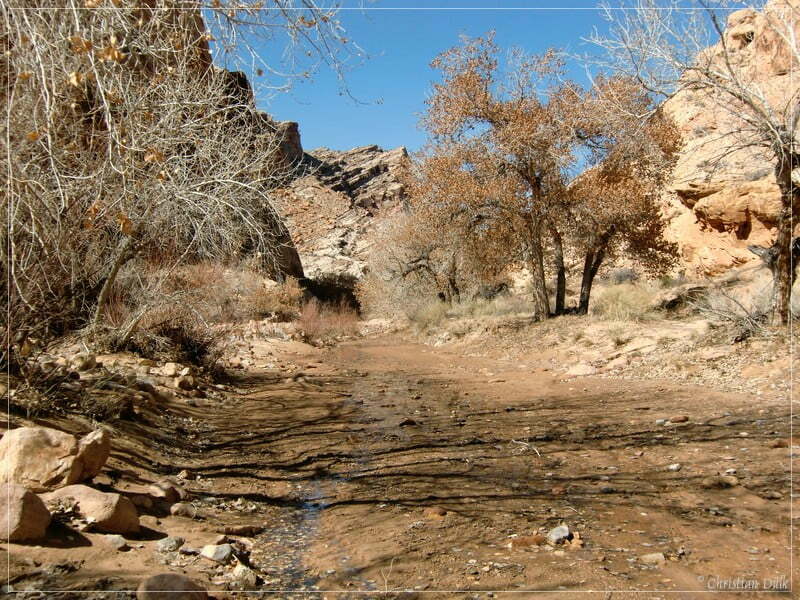 San Rafael Swell - Eardley Canyon/Straight Wash