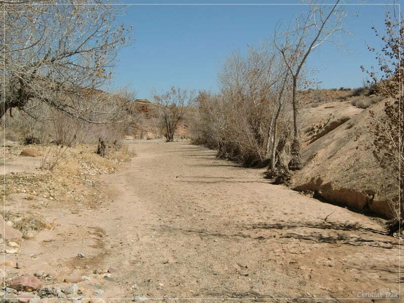 San Rafael Swell - Eardley Canyon/Straight Wash