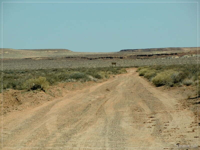 San Rafael Swell - Eardley Canyon/Straight Wash