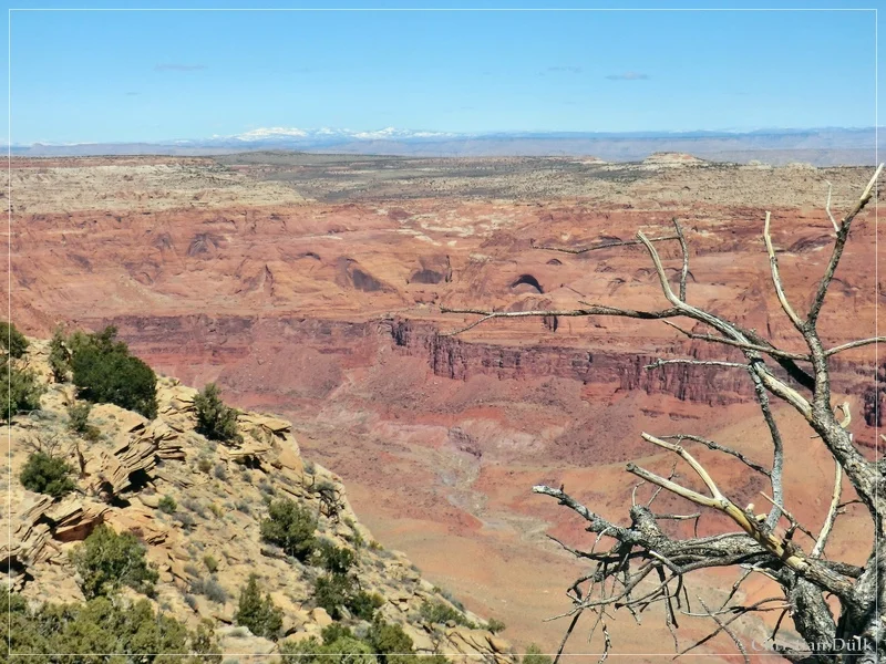 Nordöstliche Overlooks - Vermilion Cliffs NM